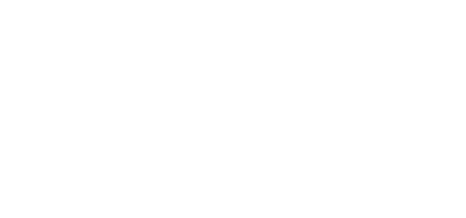 New Hampshire Film Festival Award